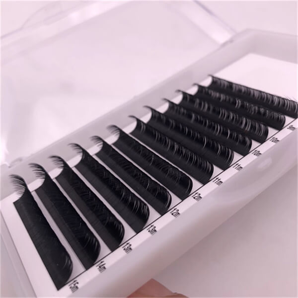 Natural Light Volume Eyelash Extensions Professional